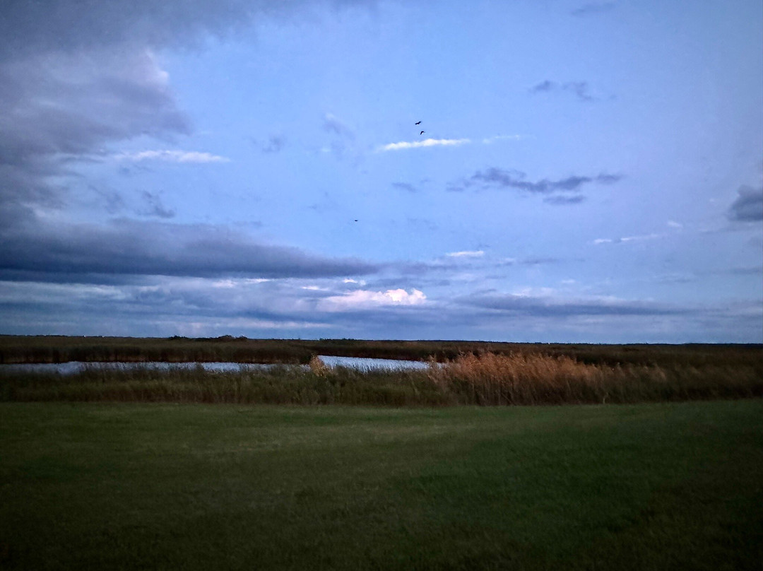 Oak Hammock Marsh Wetland Discovery Centre-Stony Mountain必去景点