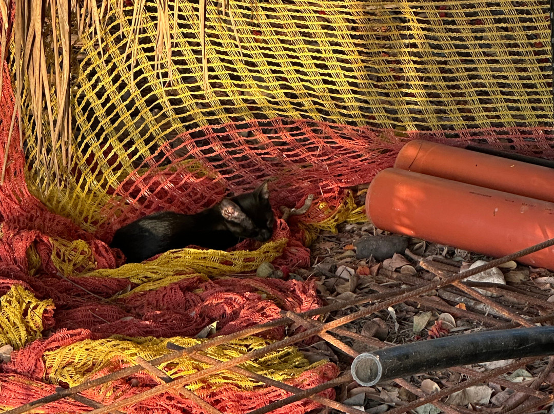 Hukuk Beach-Ginosar必去景点