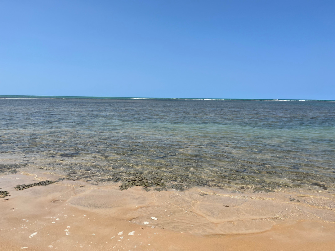 Ponta de Itapororoca-特兰科苏必去景点