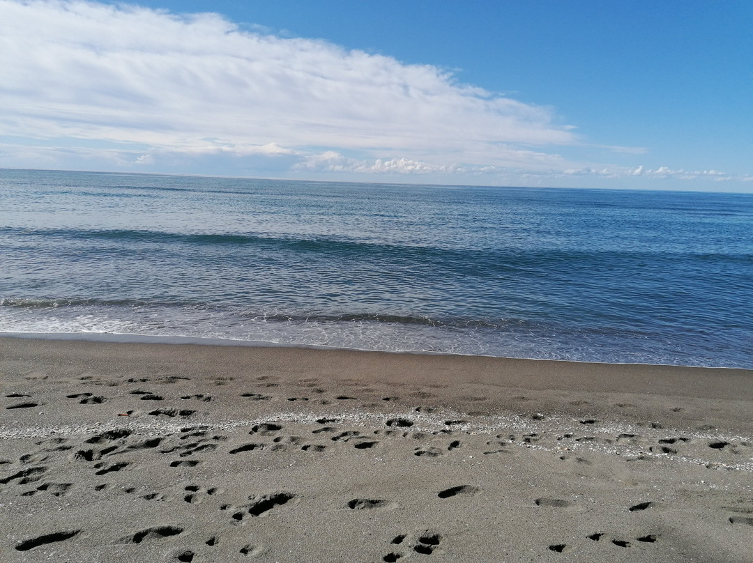 Spiaggia di Macchiatonda-Capalbio必去景点