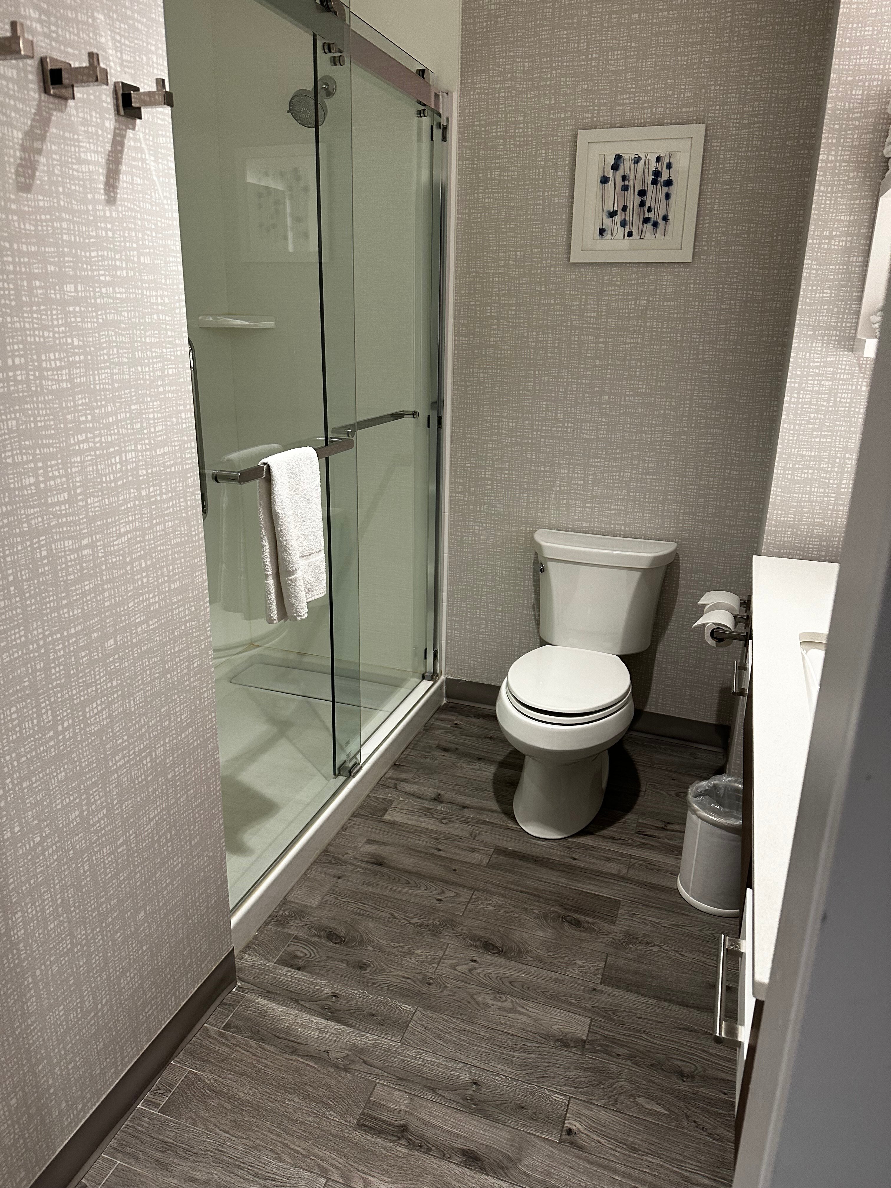 Hampton Inn by Hilton Kingston-浴室
