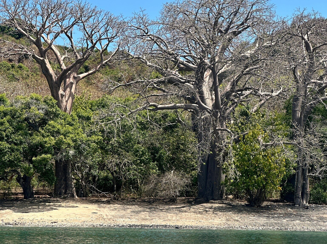 Naut'ile - Day Tours-Pamandzi必去景点
