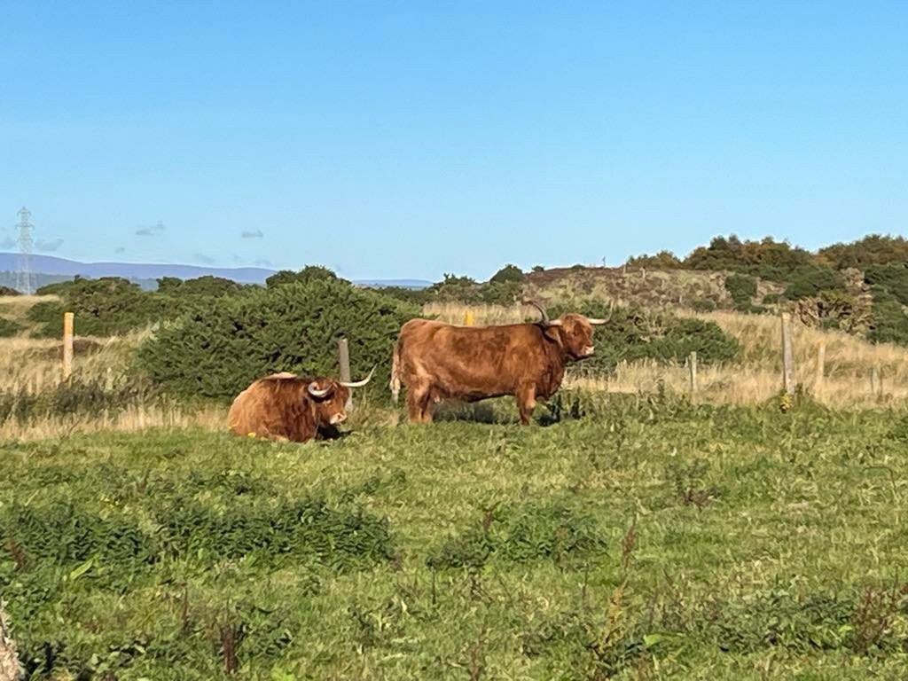Embo Beach-Embo必去景点