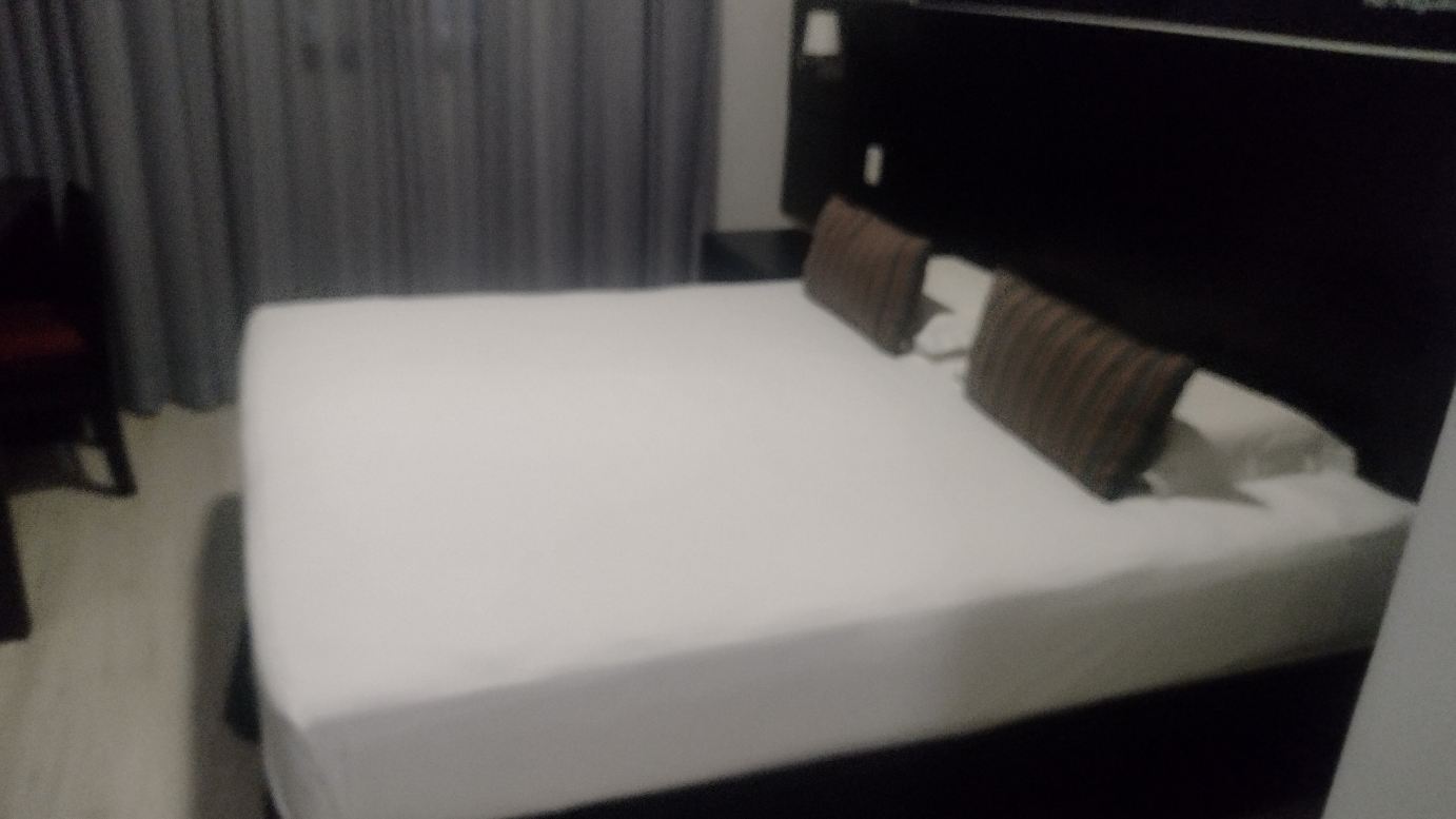 法鲁陶巴特酒店-客卧