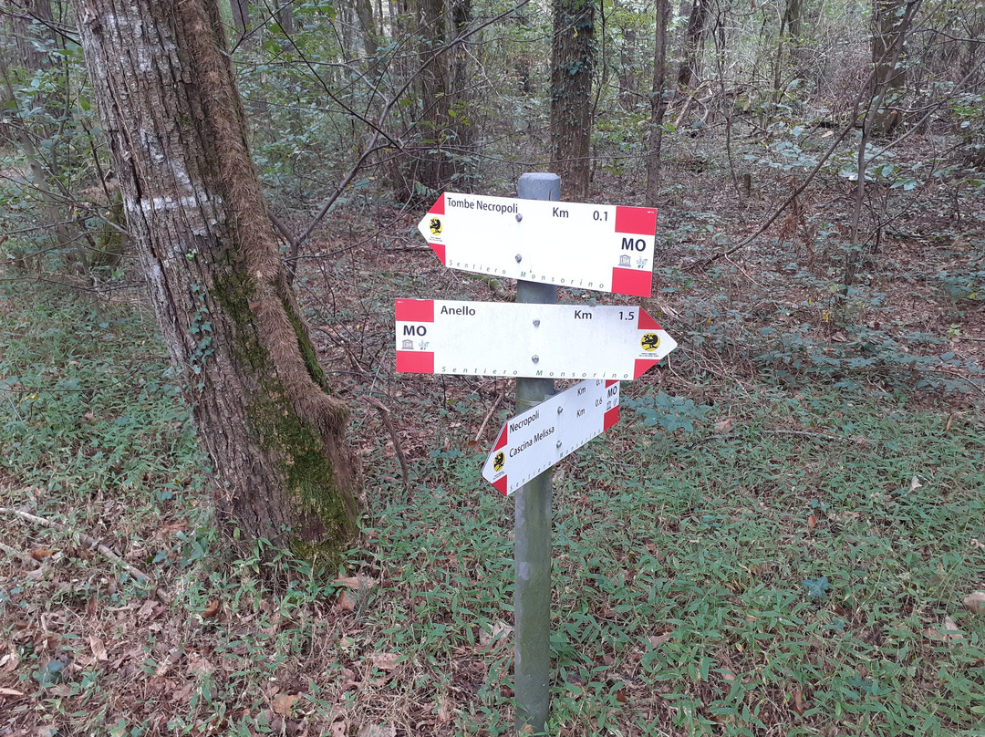 Area Archeologica Monsorino di Golasecca-Golasecca必去景点