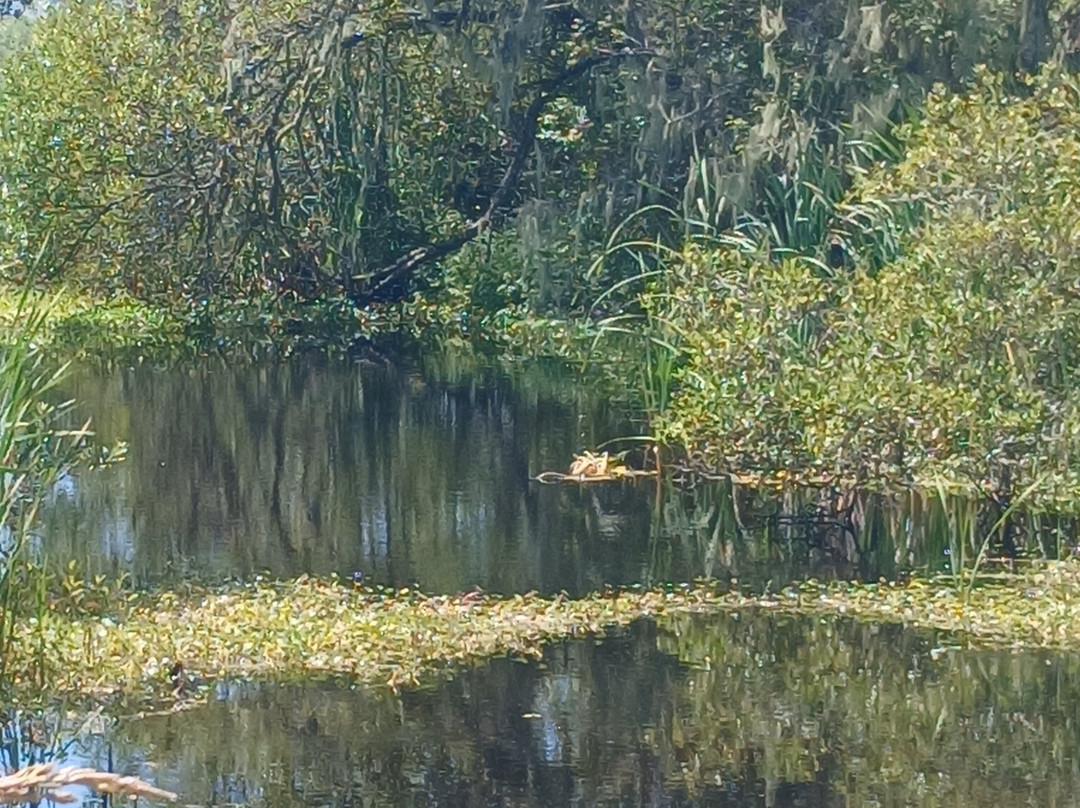 Humboldt Bay National Wildlife Refuge Complex景点图片