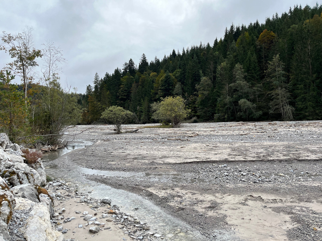 Radlgaudi Ehrwald - E-bike Verleih-埃尔森林市必去景点