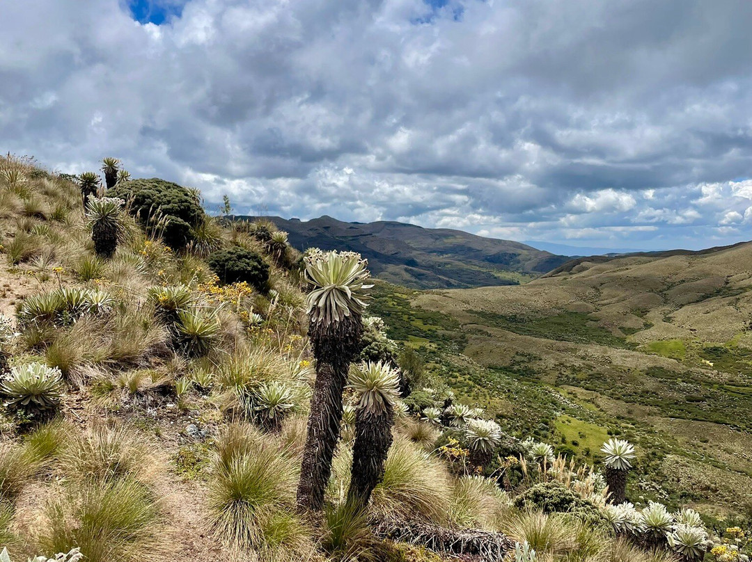Laguna Negra-Mongui必去景点