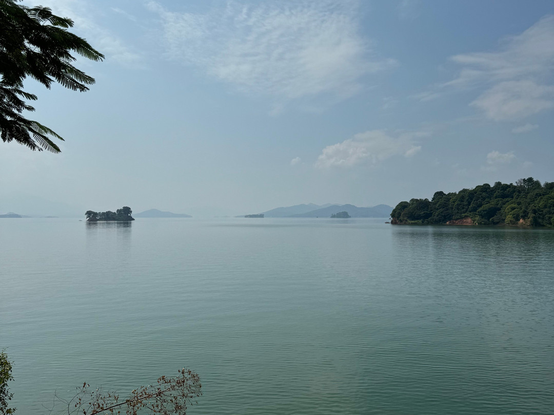 龙凤岛-东源县必去景点