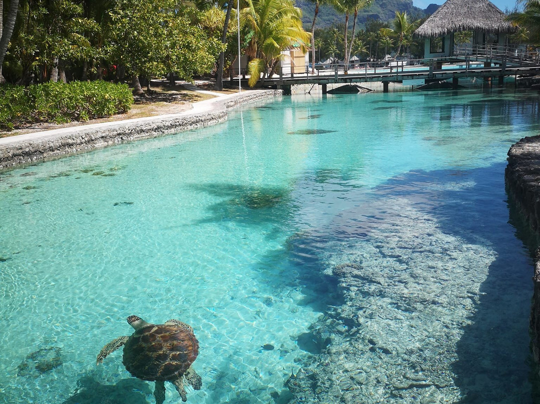 Eco Center Bora Bora-波拉波拉岛必去景点