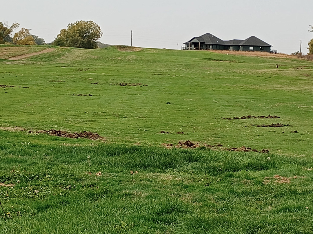 Awarii Dunes Golf Club景点图片