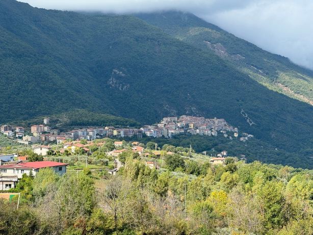 B&B Al Vicolo del Cilento-官方
