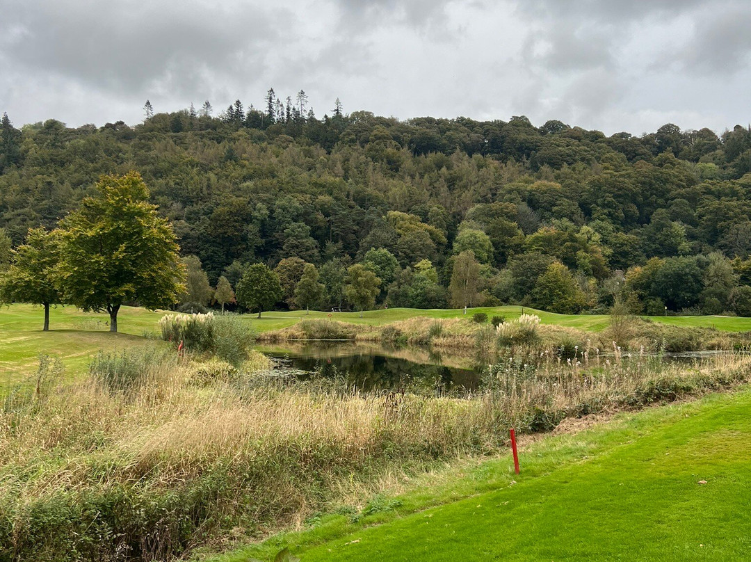 Woodenbridge Golf Club景点图片