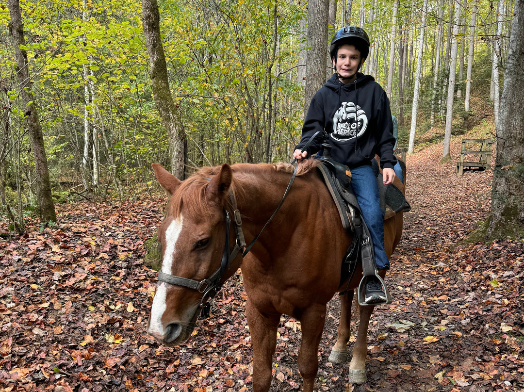 Smokemont Riding Stables景点图片
