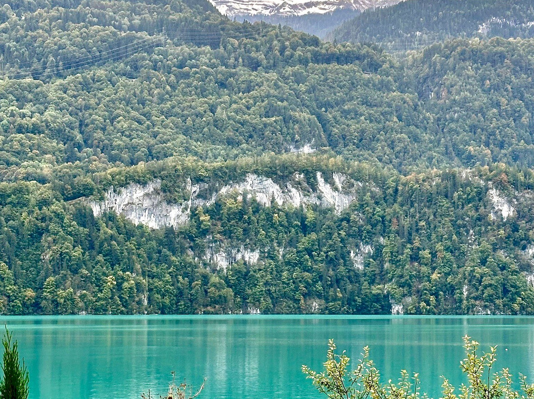 Brienz Lakeside Promenade景点图片