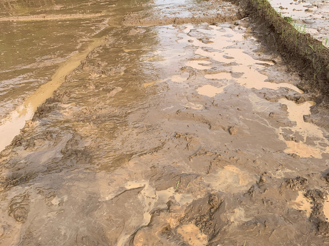 Unplanned Trips In Sri Lanka