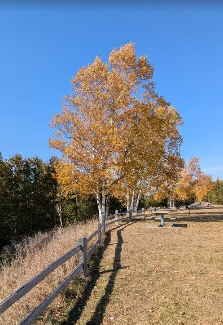 AmericInn by Wyndham Charlevoix主图