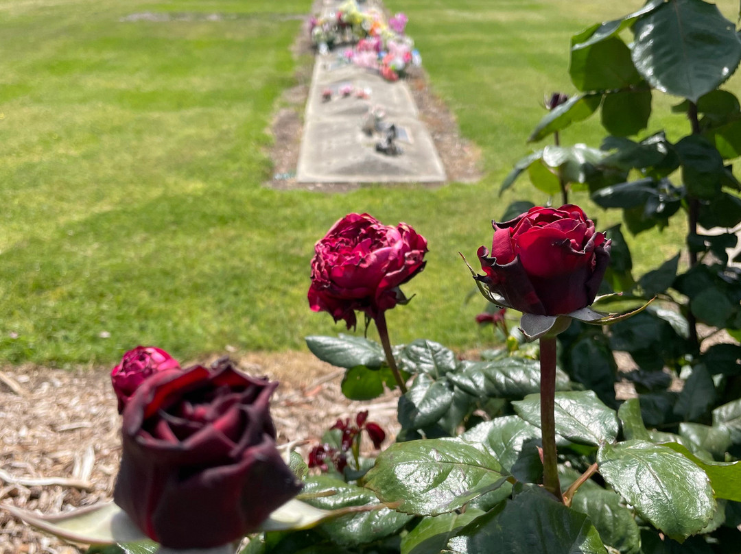 Heyfield Cemetery-Heyfield必去景点
