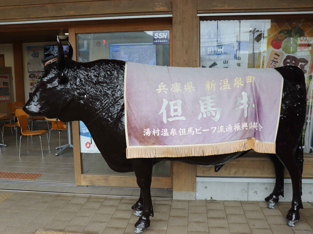 Michi-no-Eki Saninkaigan Jiopark Hamasaka no Sato-新温泉町必去景点