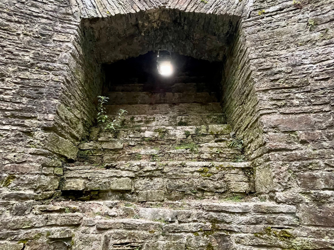 Dinefwr Castle景点图片