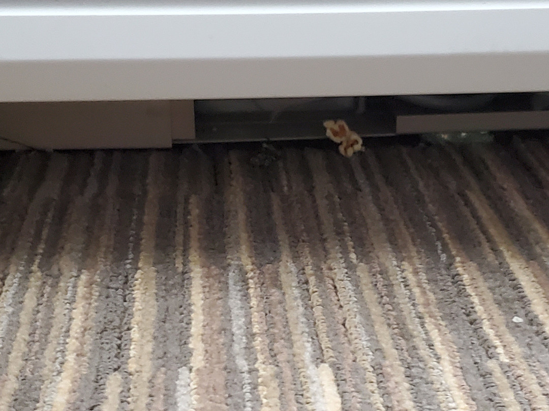 Quality Inn & Suites主图