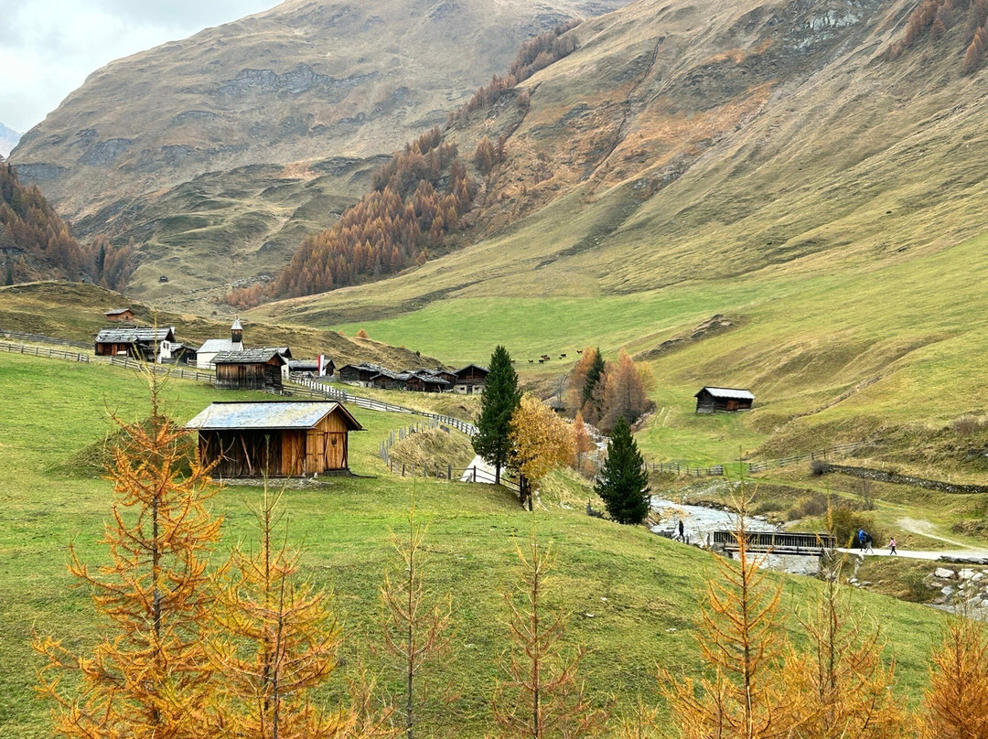 Malga Fane景点图片