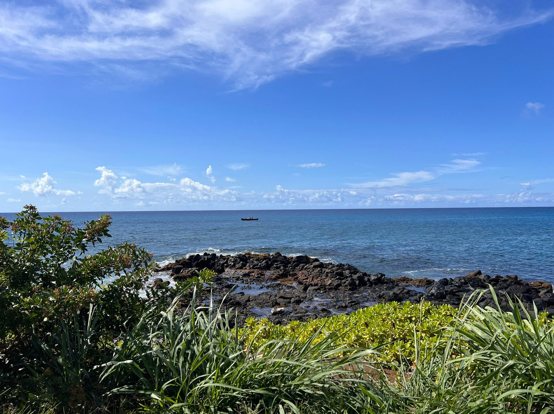 Shaka Guide: Maui Audio Tours-毛伊岛必去景点