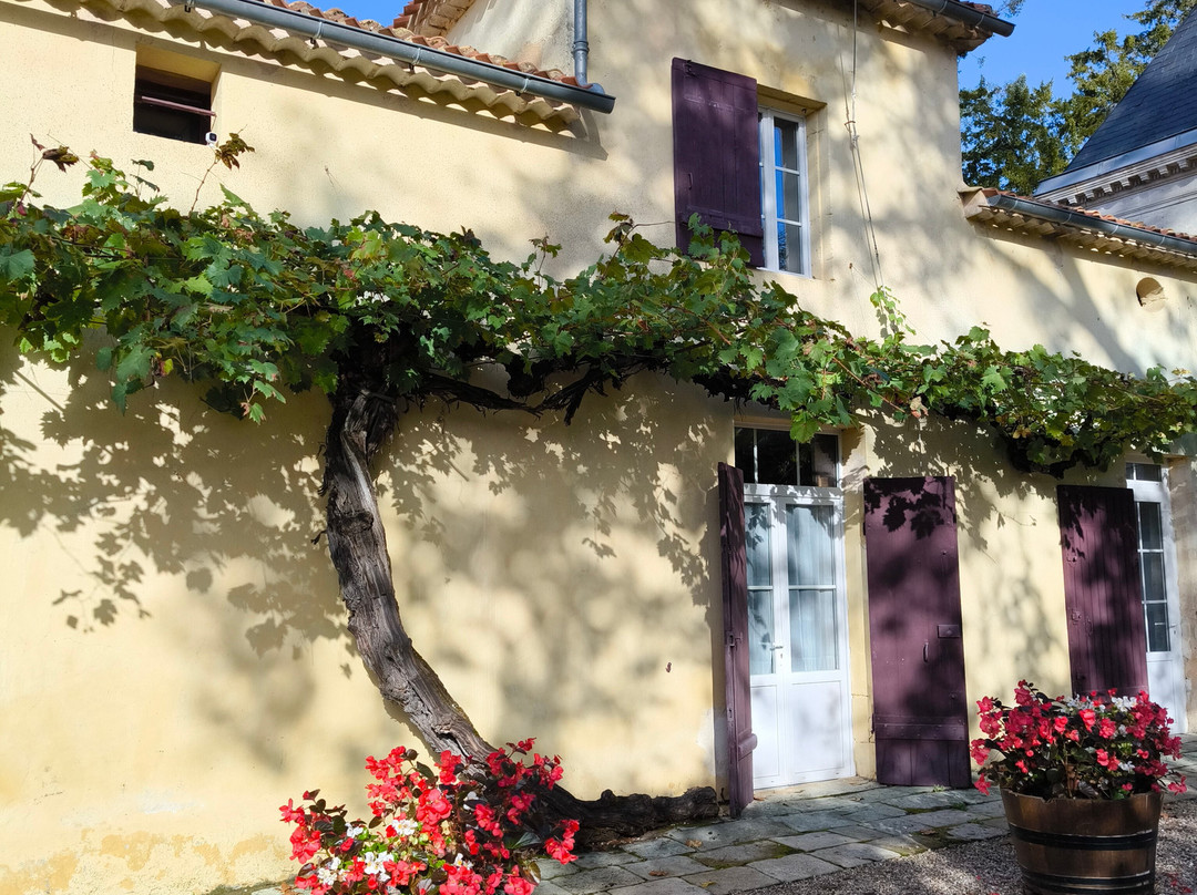 Domaine de la Grave - Vignobles Roche Teycheney景点图片