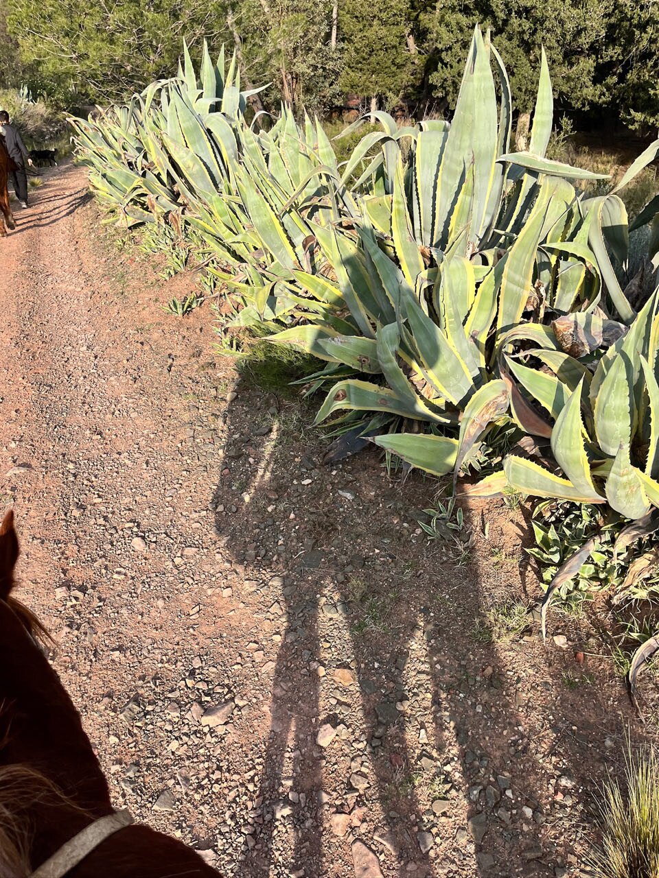 San Ignacio Estancia Andina-官方