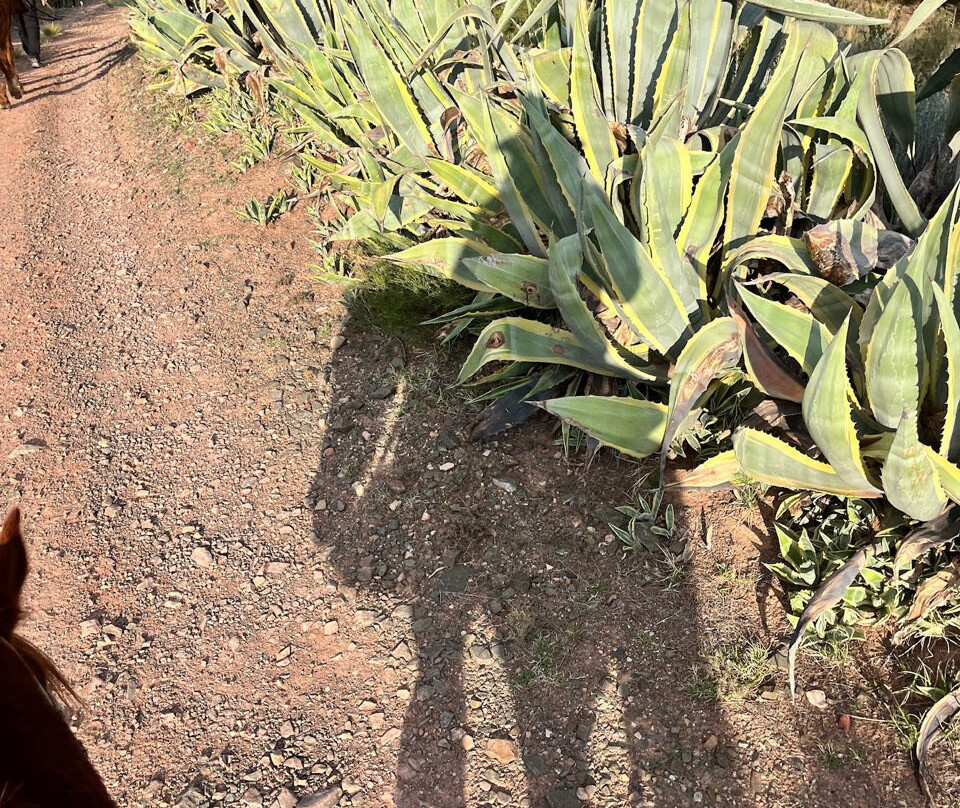 San Ignacio Estancia Andina主图