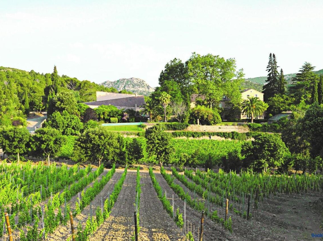 Château Haut Gléon