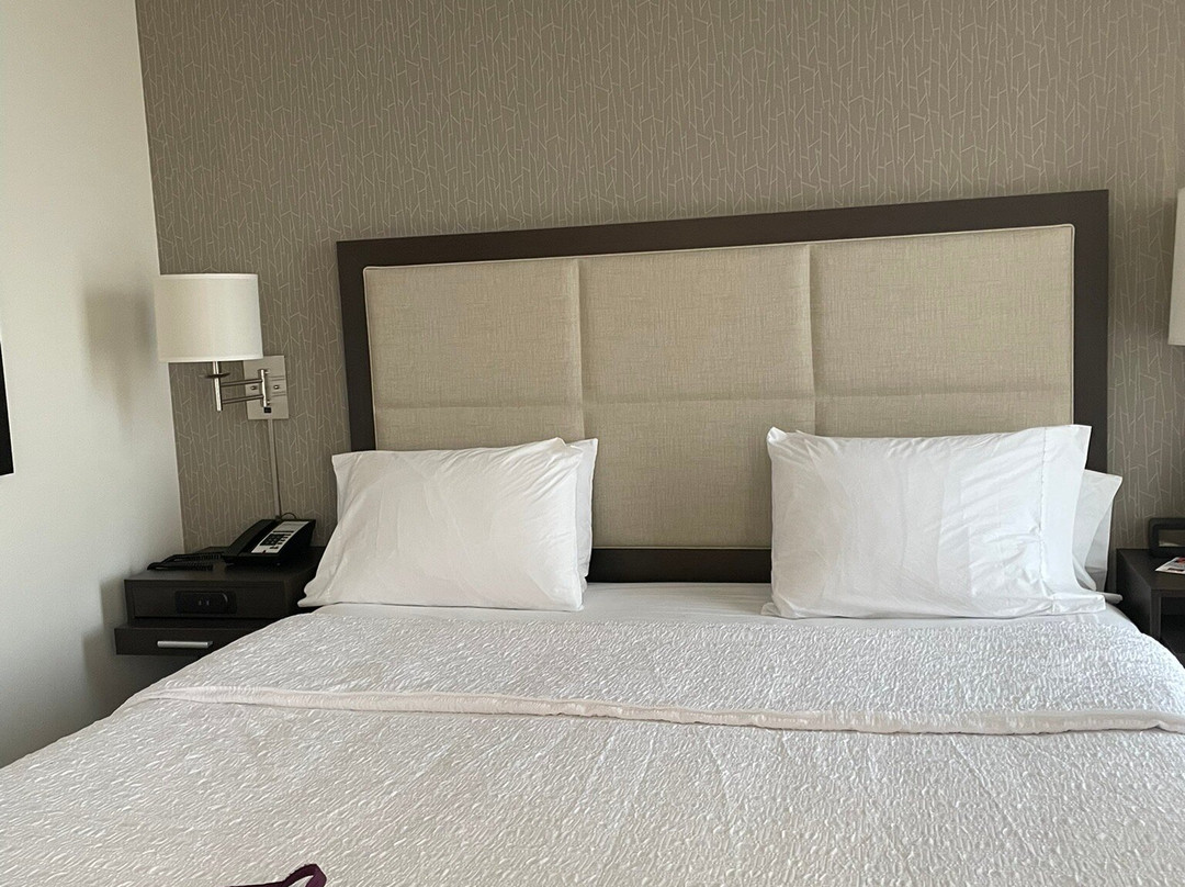 Hampton Inn & Suites Minneapolis/Downtown主图