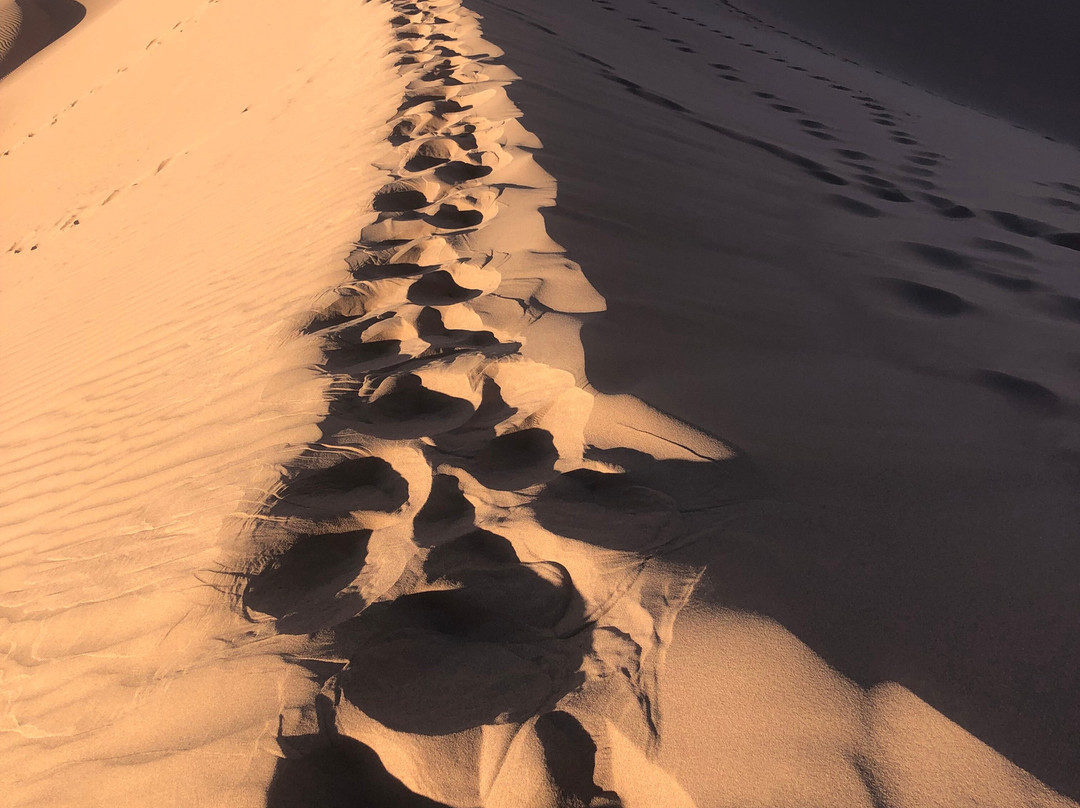 Auberge L'Oasis主图