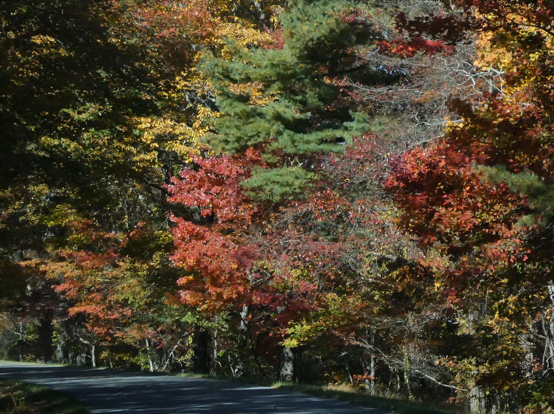 Blue Ridge Parkway-罗阿诺克必去景点