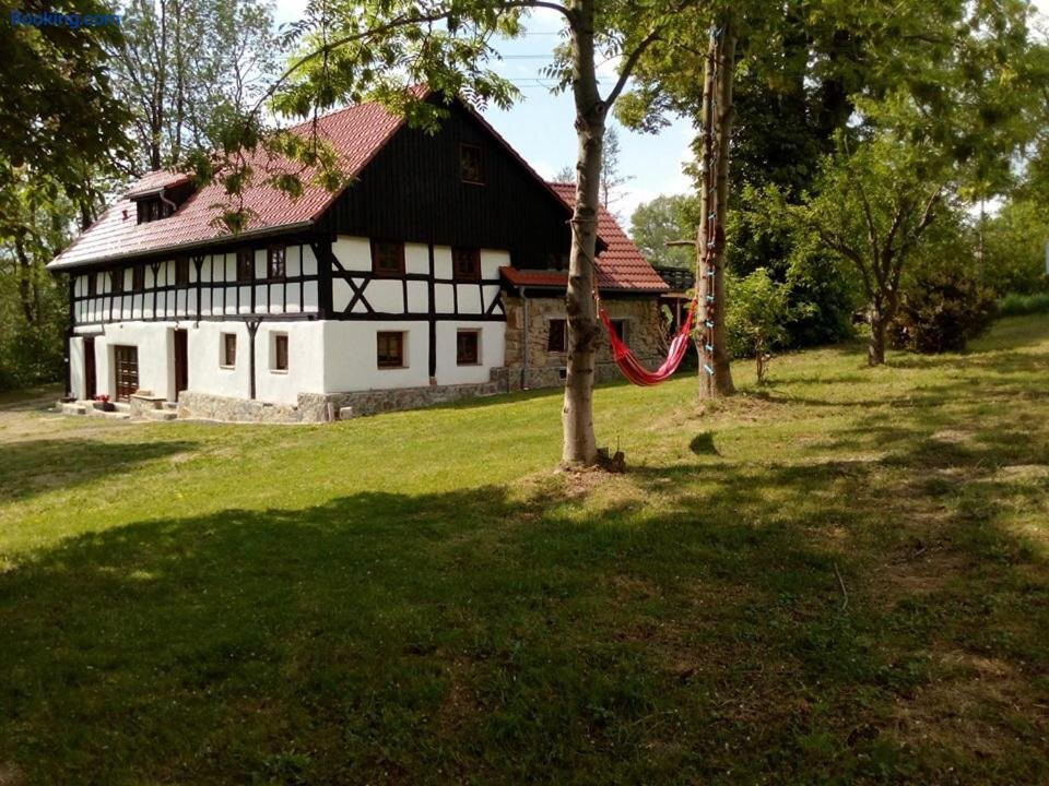 Rebiszow 50