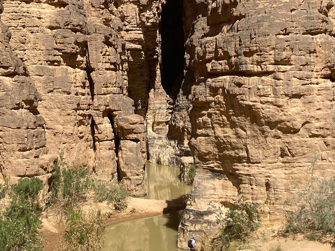 Sahara Africa Tours景点图片