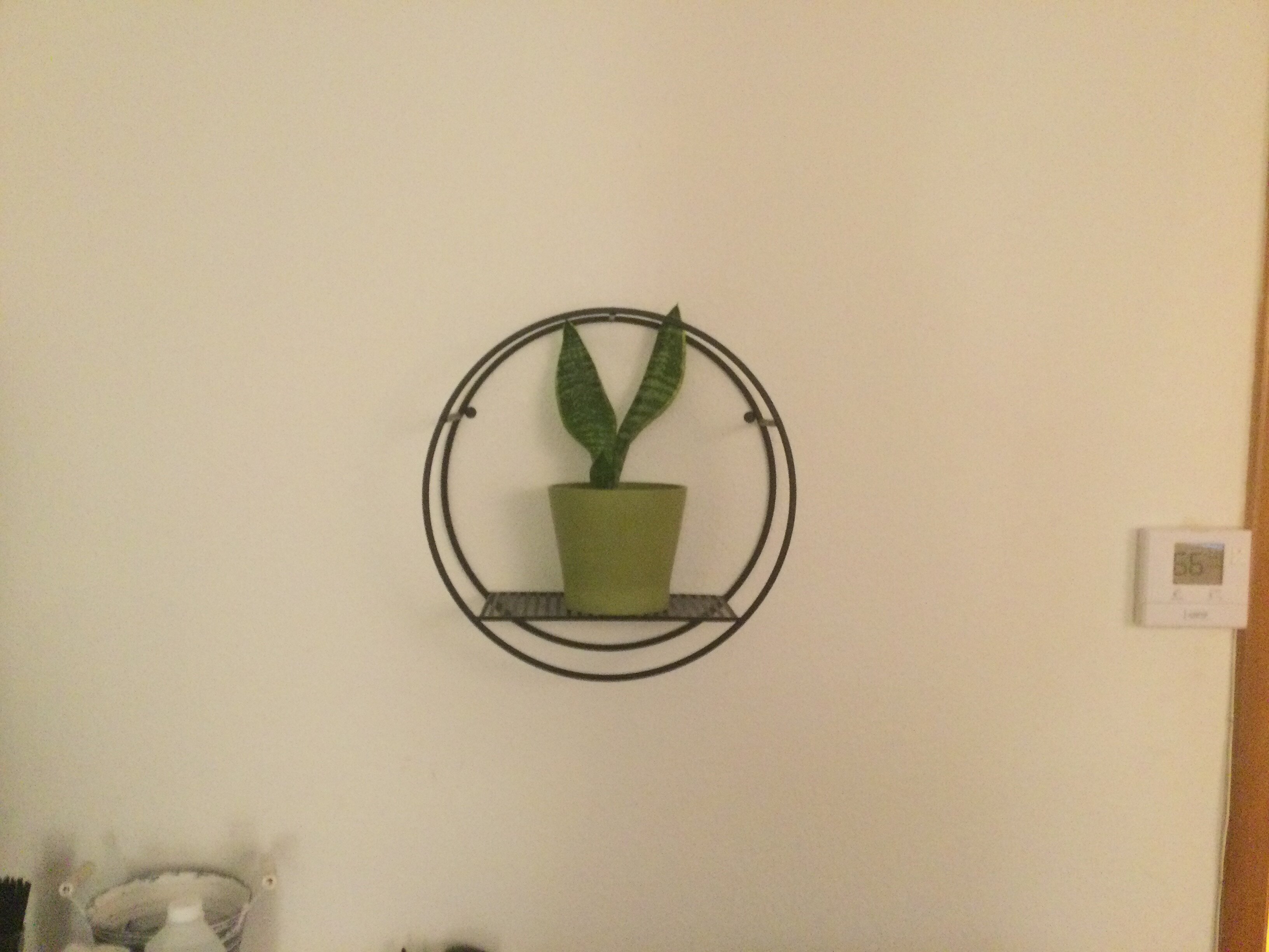 Stardust Inn Motel-官方