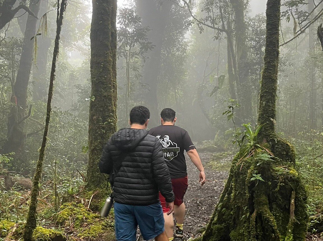 Volcán Barva景点图片