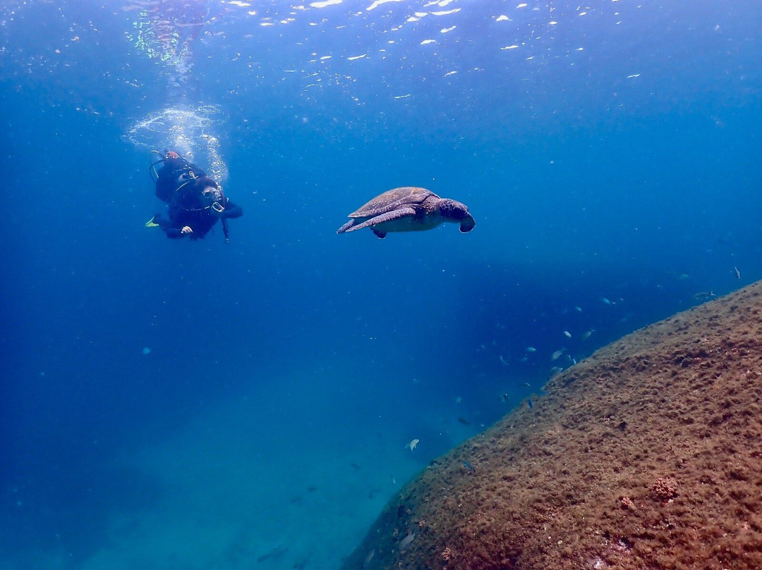 Tatauga Dive-维涅杜必去景点