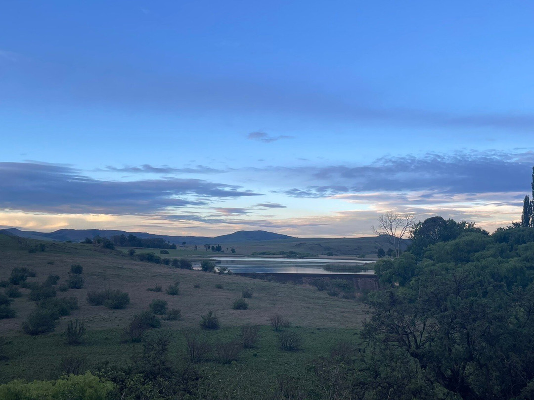 Wetlands Country House and Sheds主图