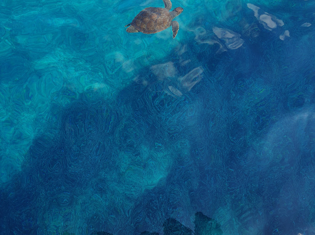 Let's Go Fishing-Pernera必去景点