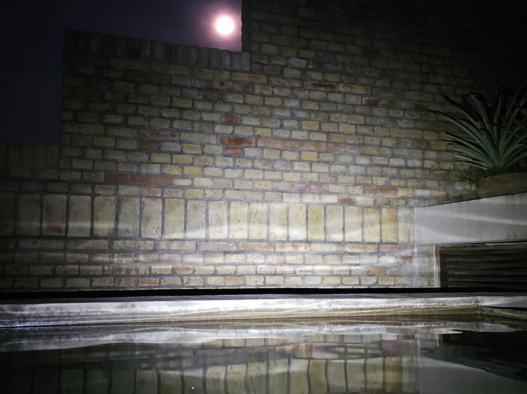 Terrestre Hotel主图