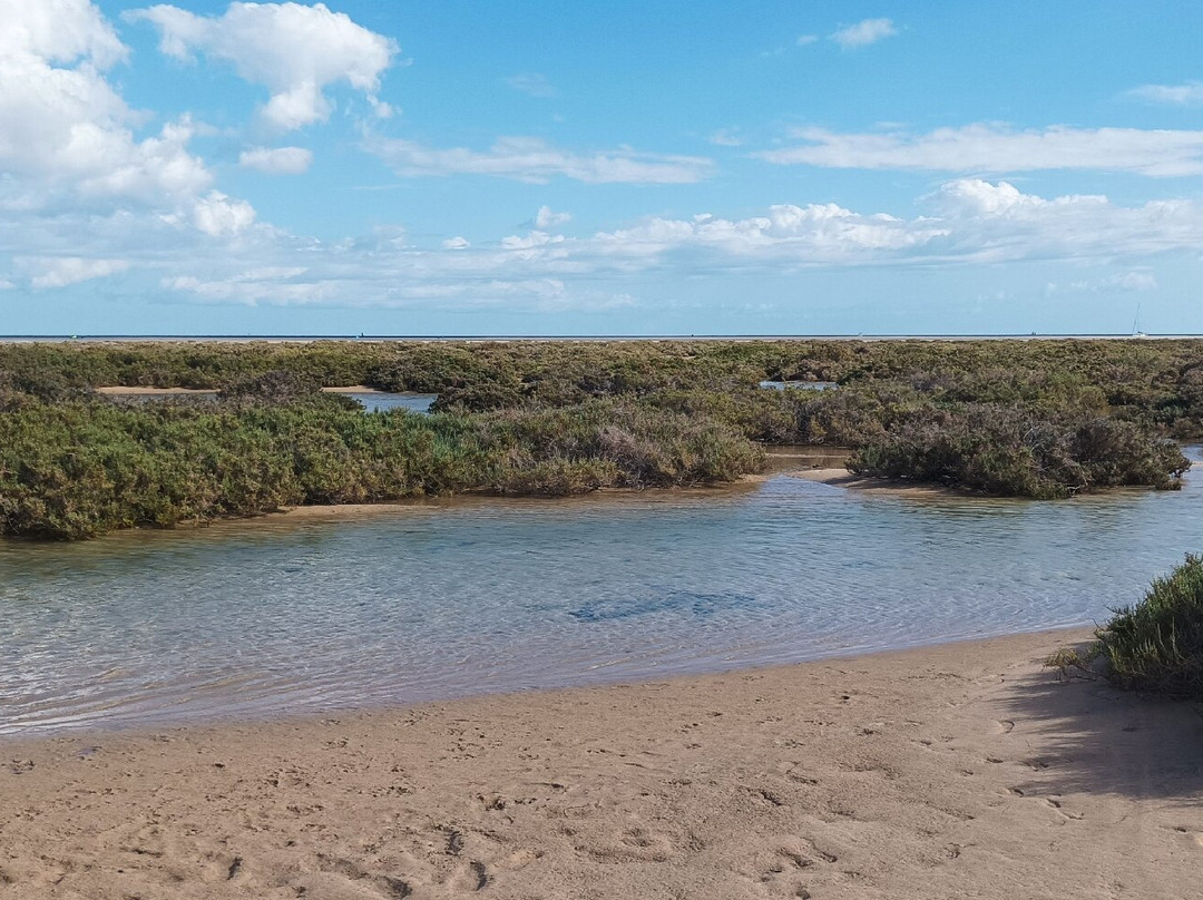 Playa de Jandia景点图片