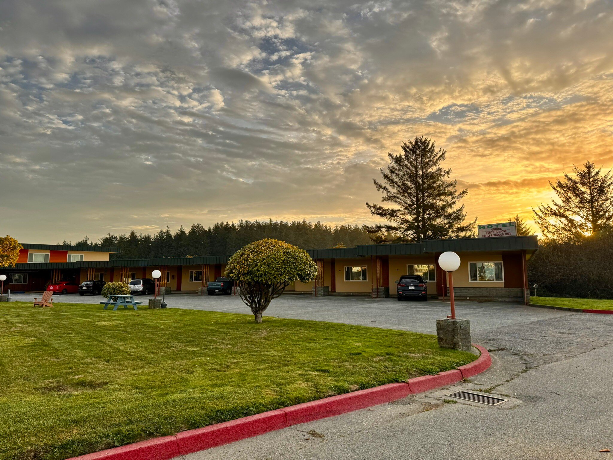 Curly Redwood Lodge-官方
