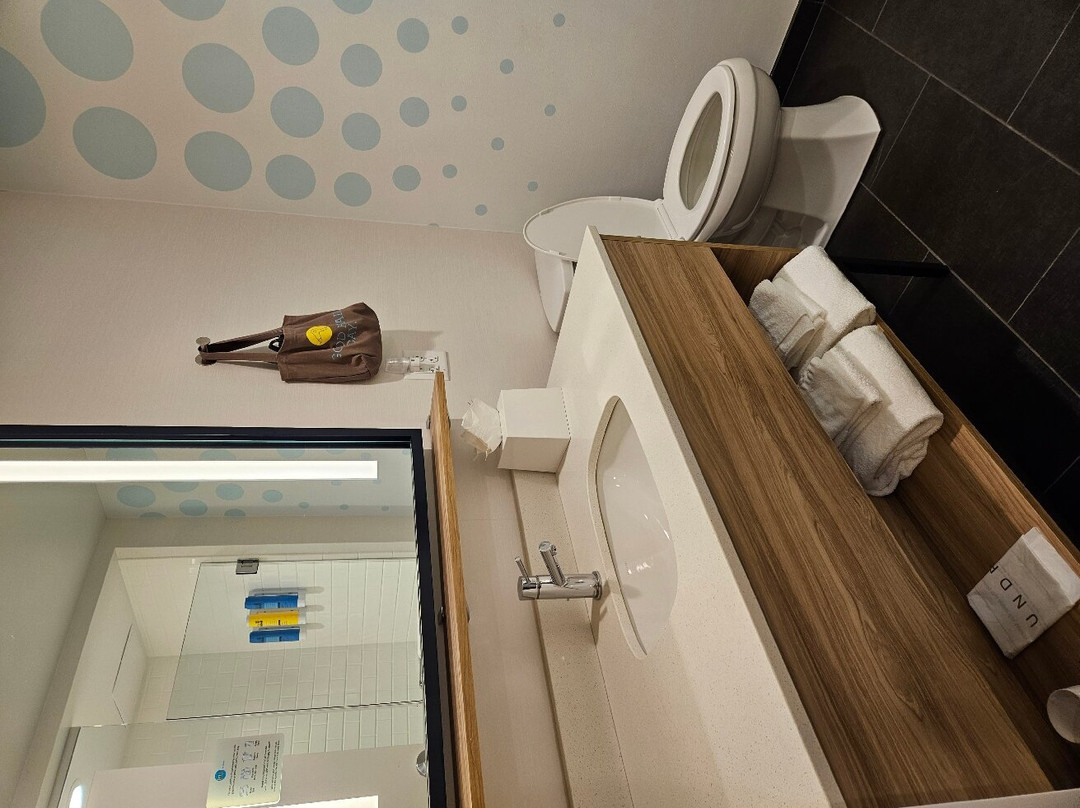 Tru by Hilton Audubon Valley Forge主图