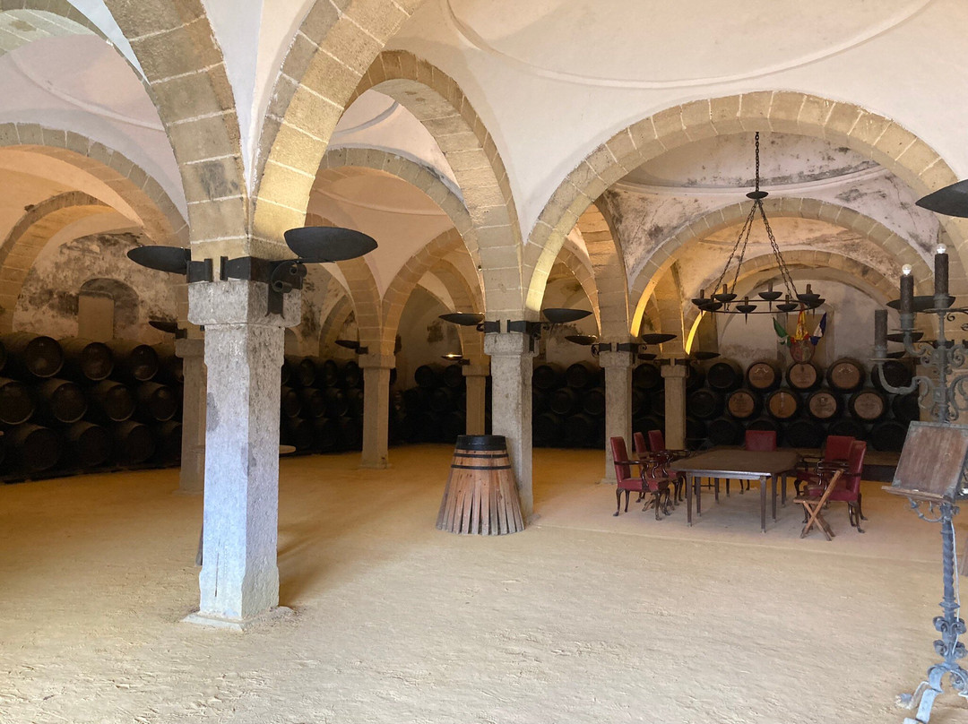 Bodegas y viñedos Díez Mérito景点图片