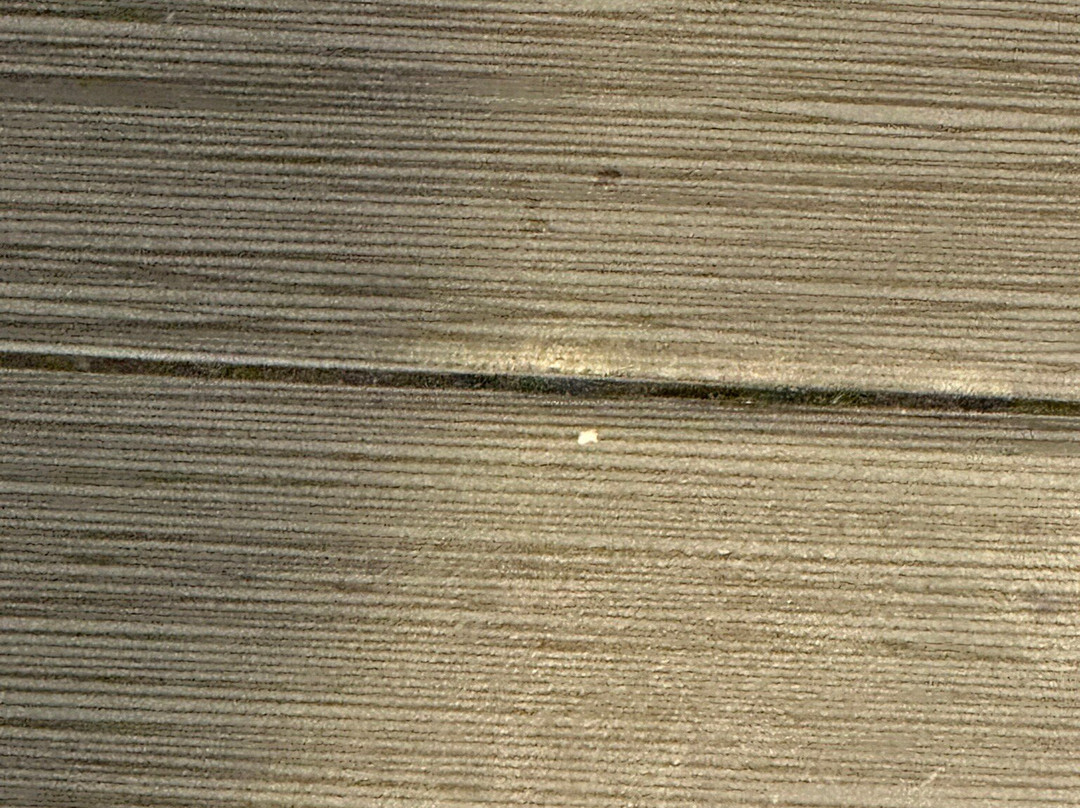 Red Roof Inn Marion, VA主图