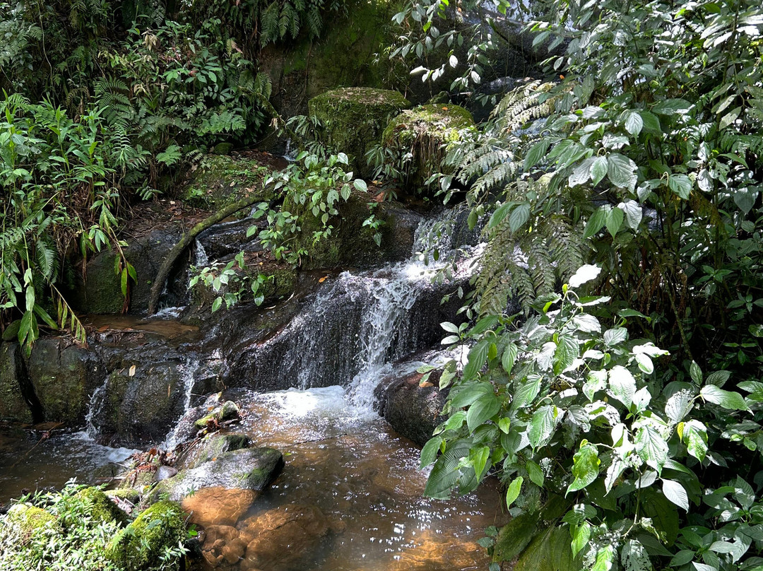 Mirante Pedra de São Francisco-Monteiro Lobato必去景点