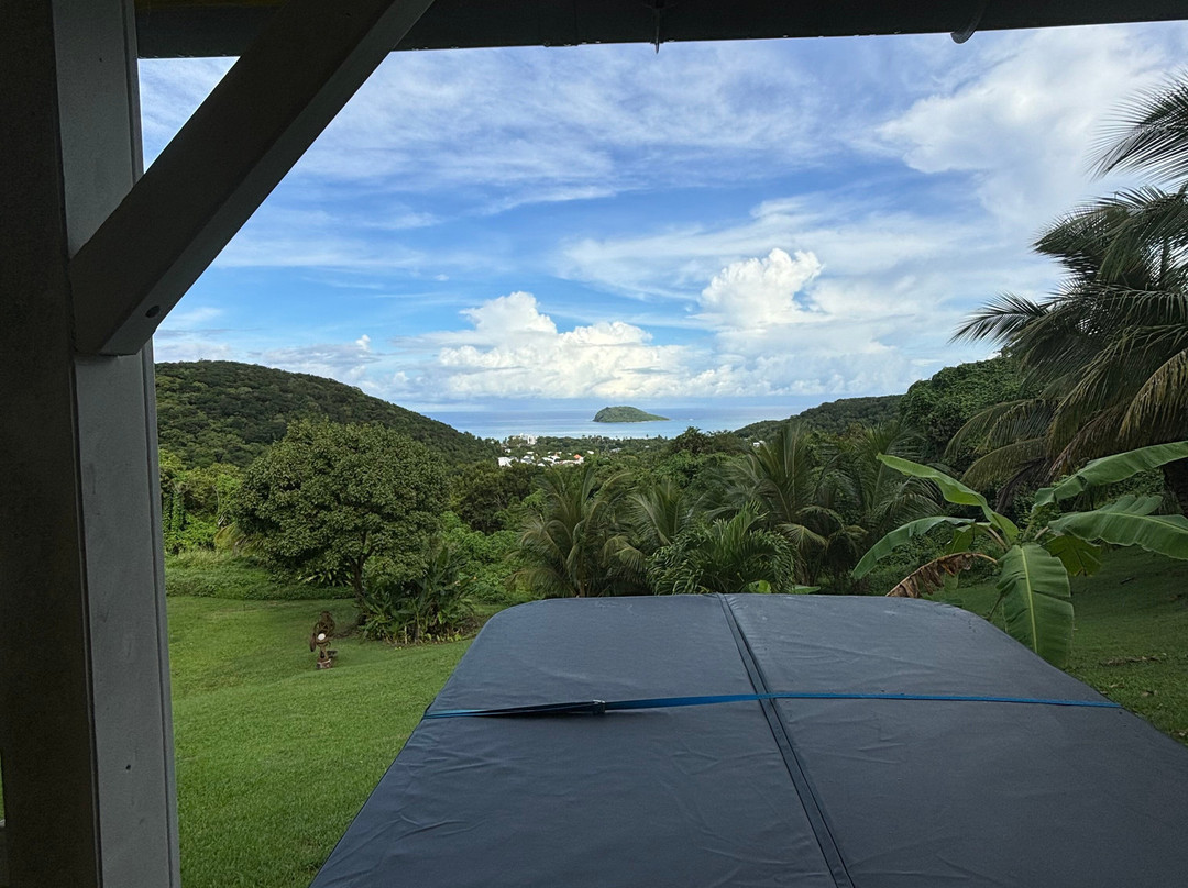 Habitation Pineau主图