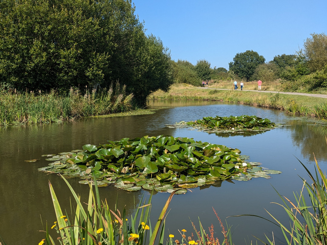Lyme and Wood Pits Country Park景点图片